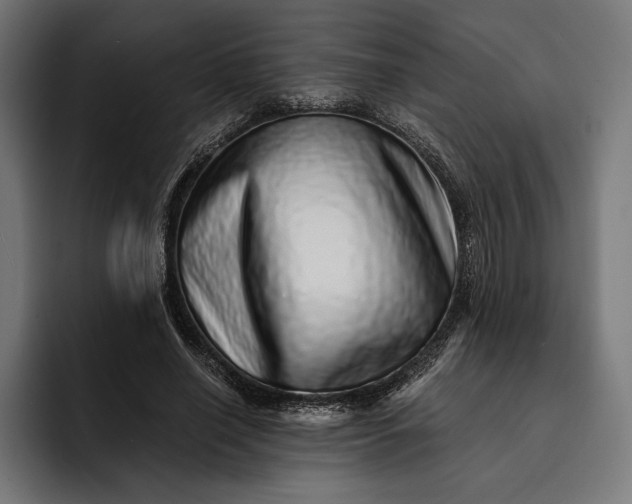 X0000093120638200710101041