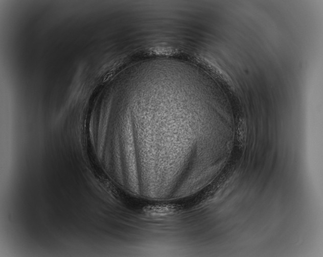 X0000093120639200710101041