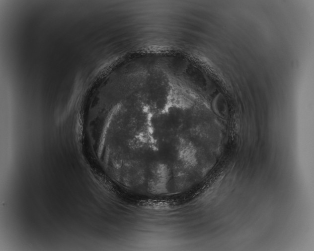 X0000093120640200710101041