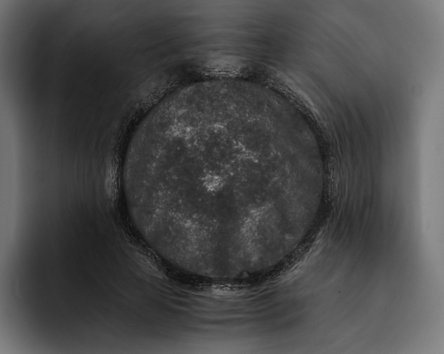 X0000093120641200710101041