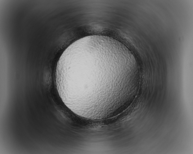 X0000093120642200710101041