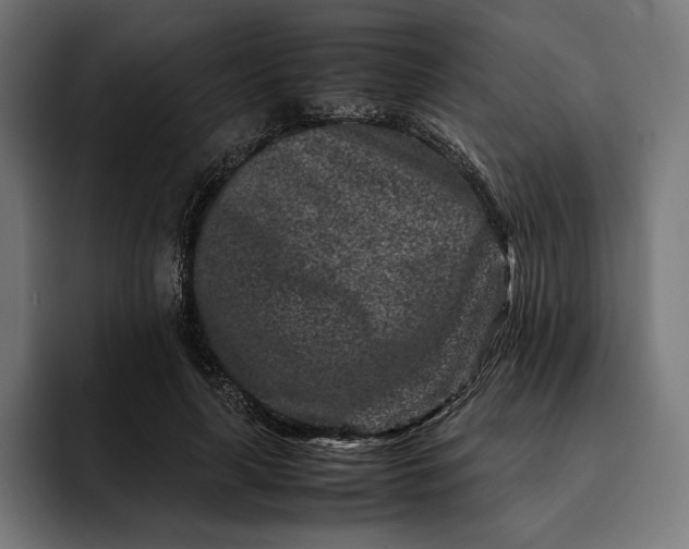 X0000093120643200710101041