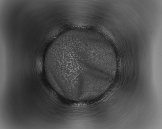 X0000093120644200710101041