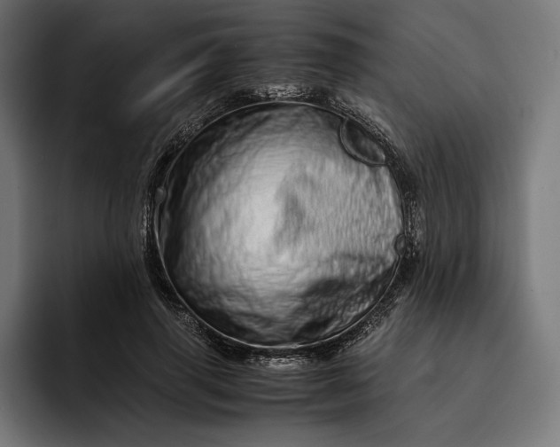 X0000093120645200710101041