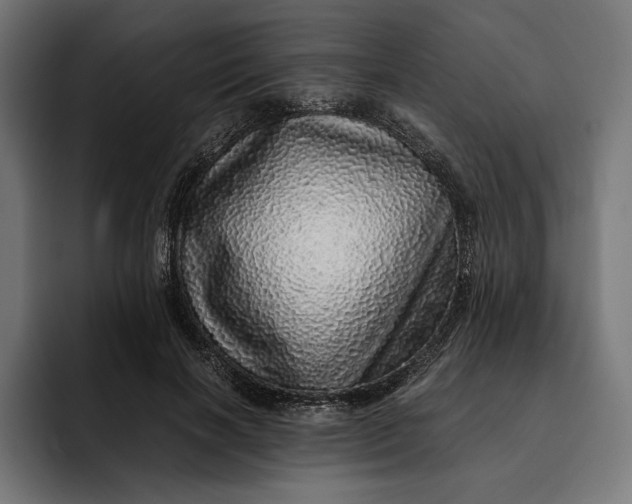 X0000093120646200710101041