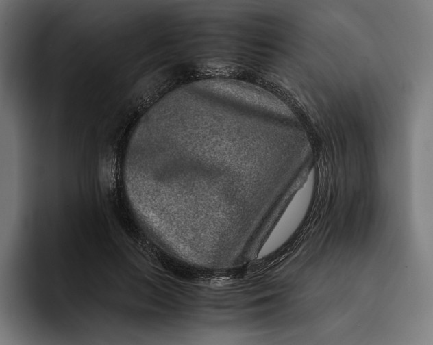 X0000093120647200710101041