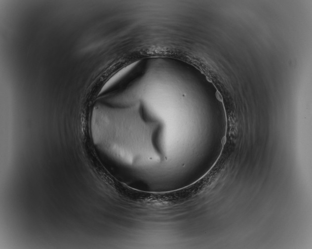 X0000093120648200710101041