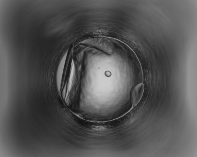 X0000093120649200710101041