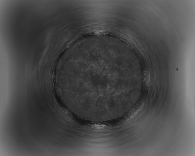 X0000093120650200710101041