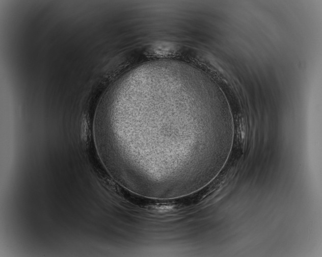 X0000093120651200710101041