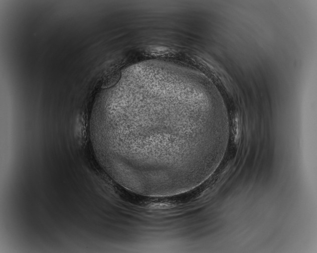 X0000093120653200710101041