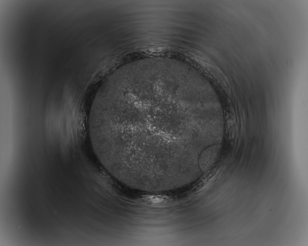 X0000093120654200710101041