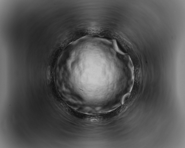 X0000093120655200710101041