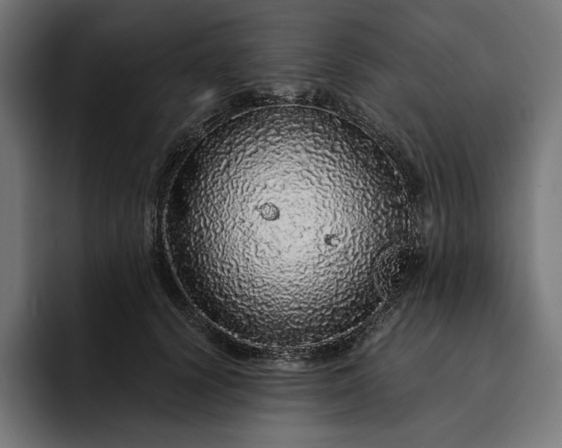 X0000093120656200710101041