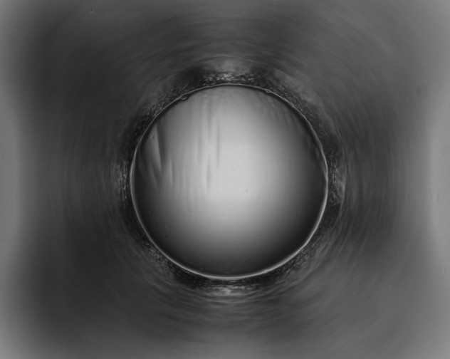 X0000093120657200710101041