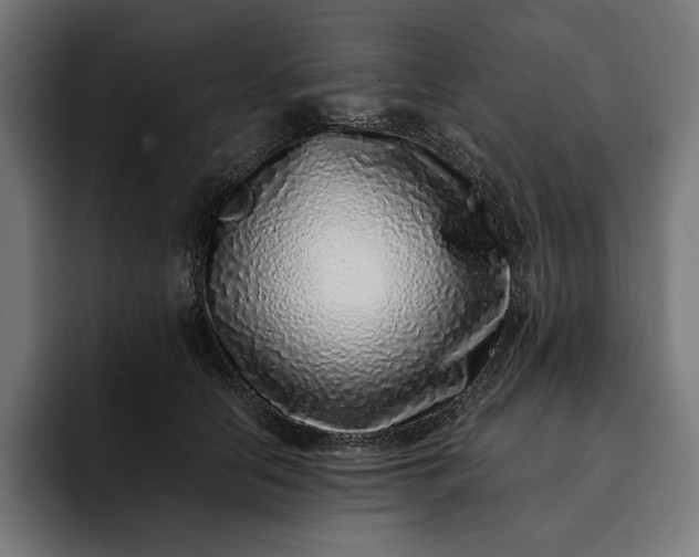 X0000093120658200710101041