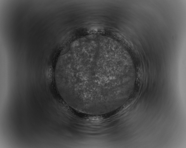 X0000093120659200710101041