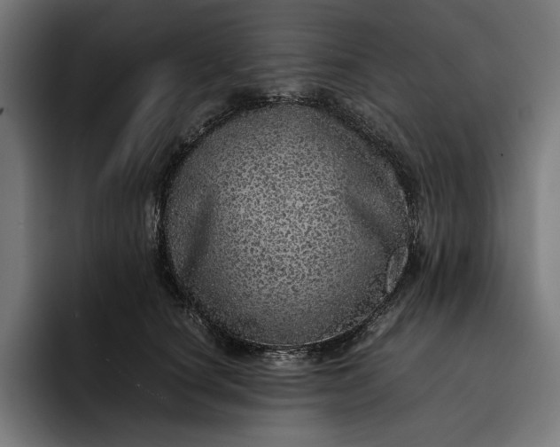 X0000093120660200710101041