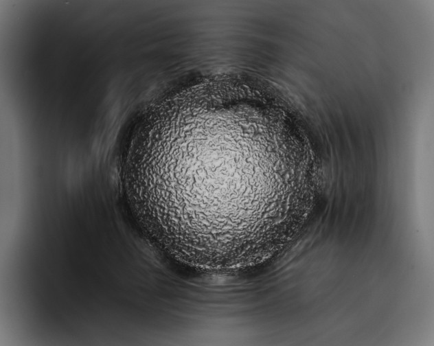 X0000093120662200710101041