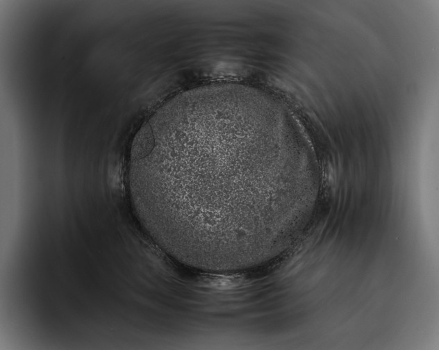 X0000093120663200710101041