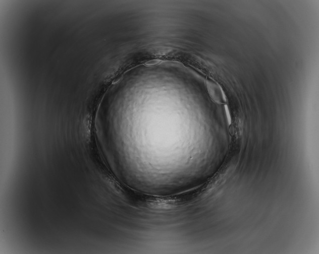 X0000093120664200710101041