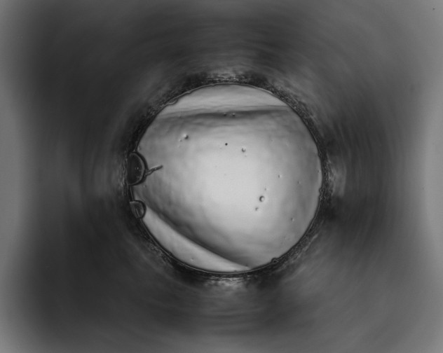 X0000093120665200710101041