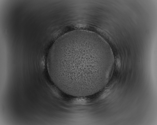 X0000093120668200710101041