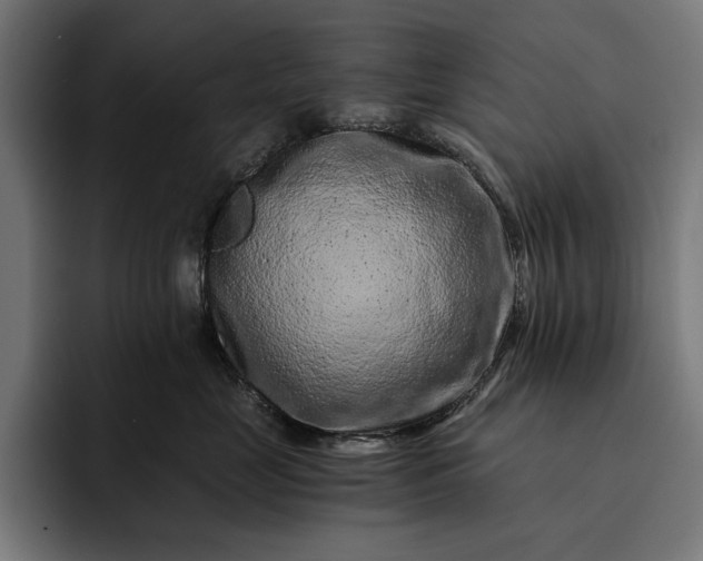 X0000093120669200710101041