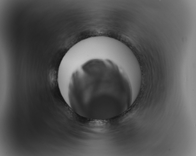 X0000093120672200710101041