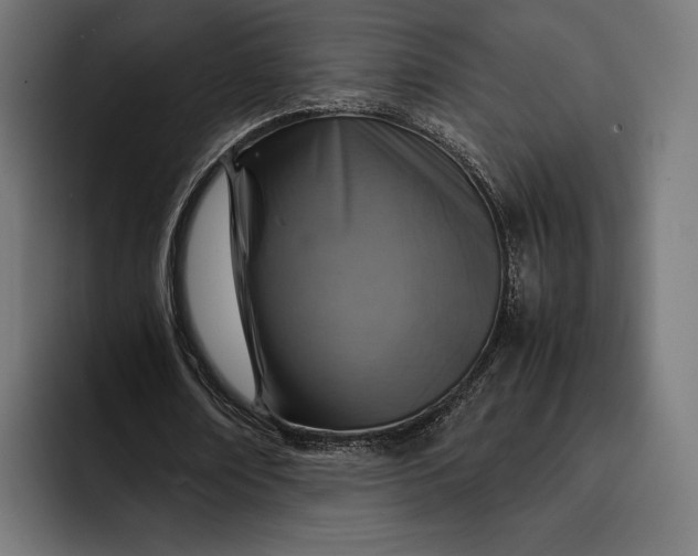 X0000093120674200710101041