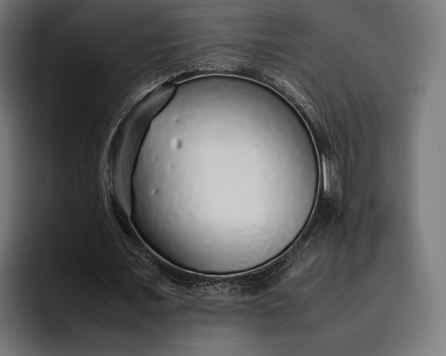 X0000093120675200710101041