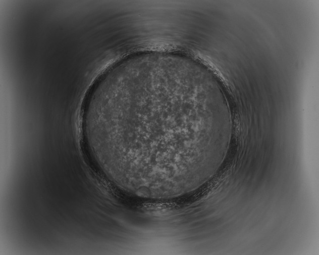 X0000093120679200710101040