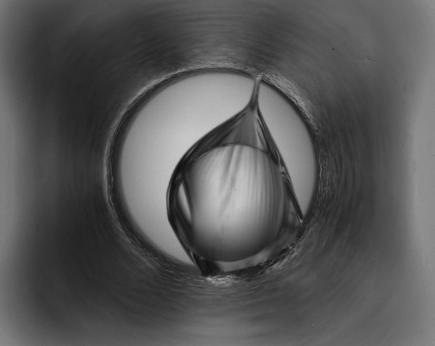 X0000093120680200710101040