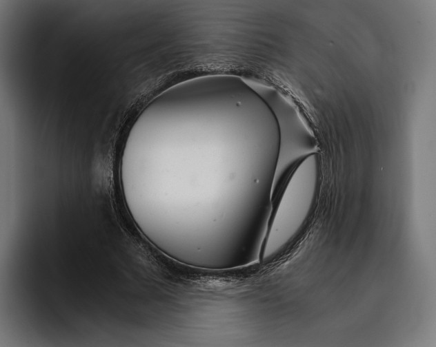 X0000093120681200710101040