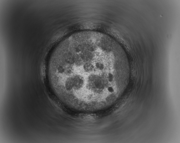 X0000093120683200710101040