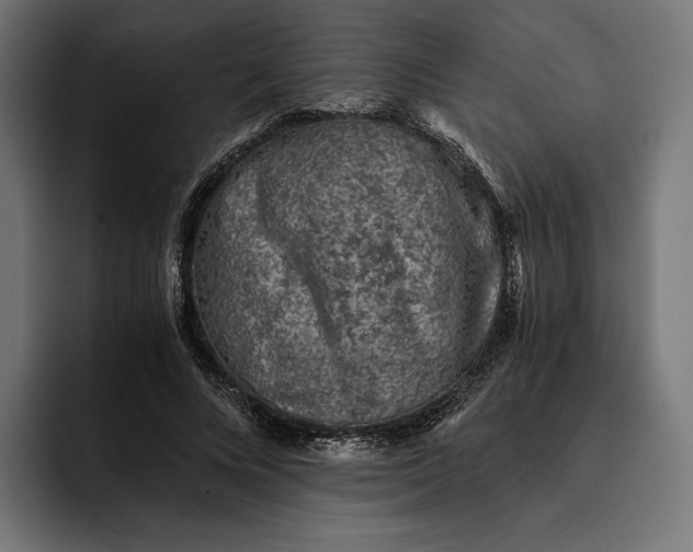 X0000093120688200710101040