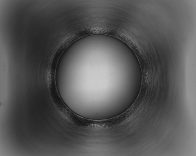 X0000093120690200710101040