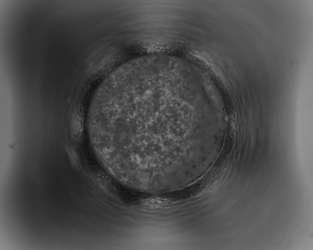 X0000093120691200710101040