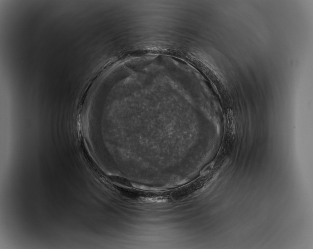 X0000093120692200710101040