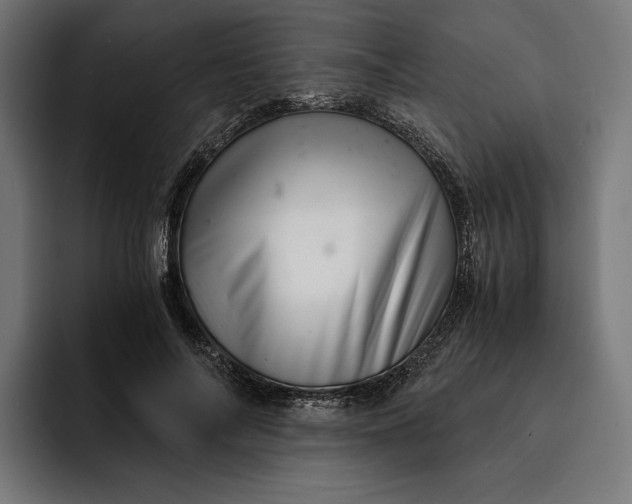 X0000093120694200710101040