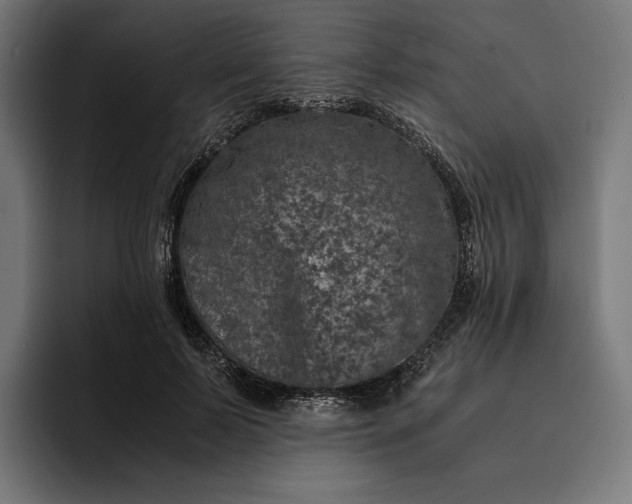 X0000093120695200710101040