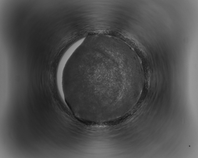 X0000093120696200710101040