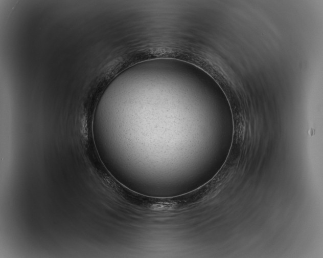 X0000093120700200710101040