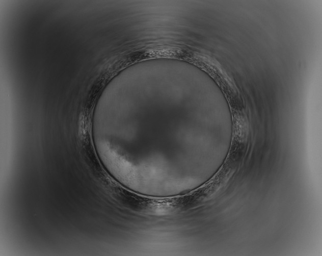 X0000093120701200710101040