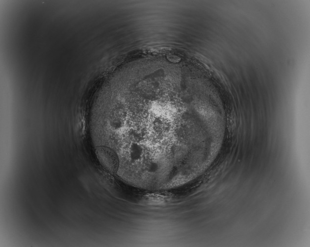 X0000093120703200710101040