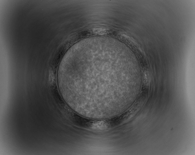 X0000093120705200710101040