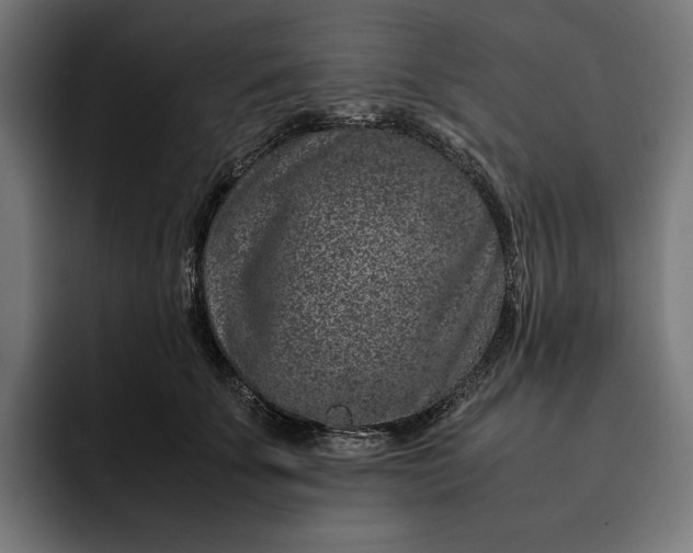 X0000093120707200710101040