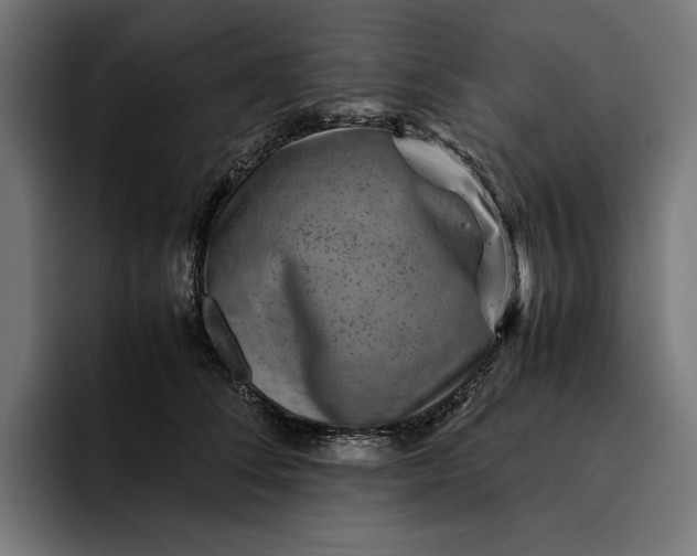 X0000093120708200710101040