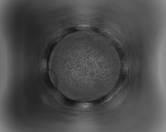 X0000093120711200710101040