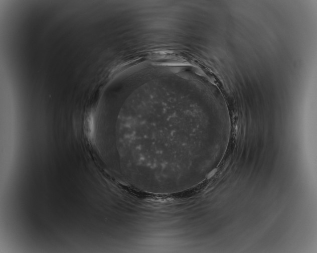 X0000093120712200710101040